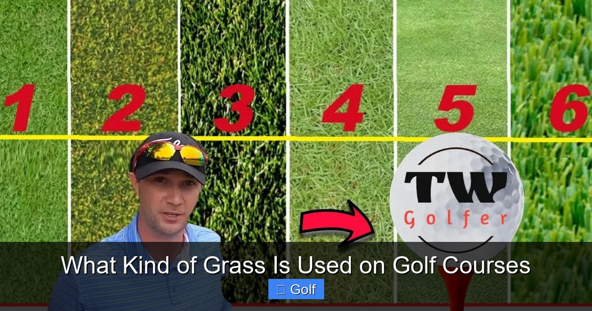 The Different Zones of the Course