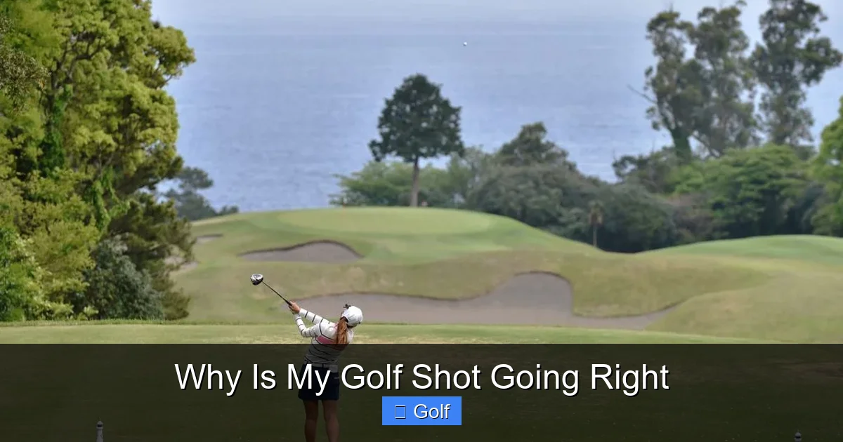 The Role of the Swing Path